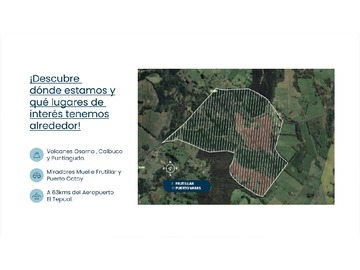 Imagen 10