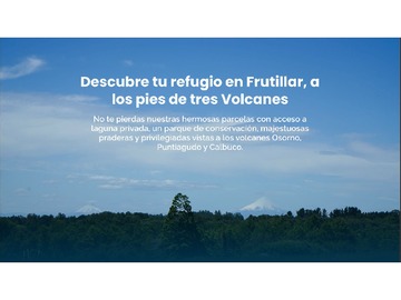 Imagen 7