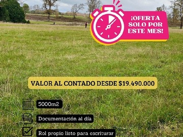 Imagen 7