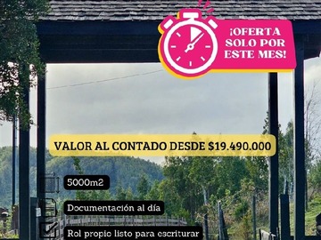 Imagen 8