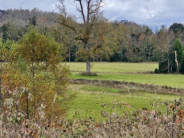 Venta / Parcela / Frutillar