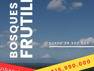Imagen 10