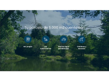 Imagen 8