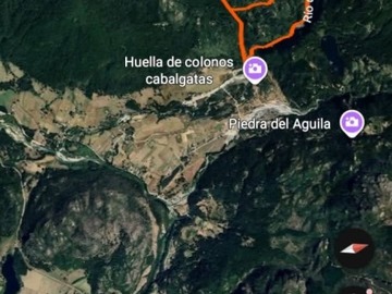 Imagen 7