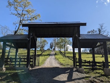 Venta / Parcela / Futrono