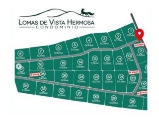 Imagen 12