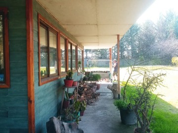 Imagen 4
