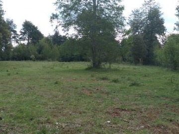 Venta / Parcela / General Lagos