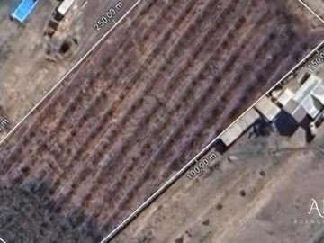 Imagen 6