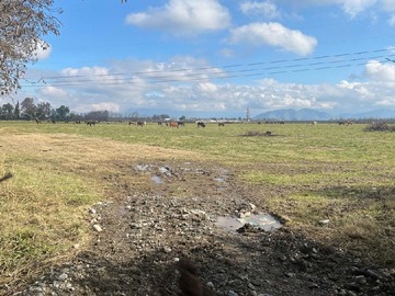 Venta / Parcela / Graneros