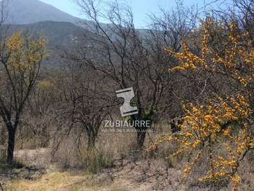 Imagen 6