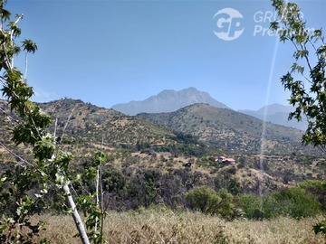 Imagen 7