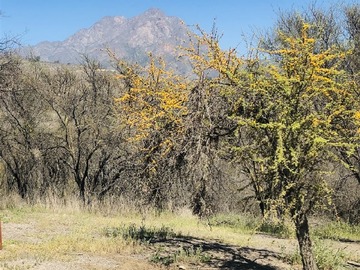 Venta / Parcela / Hijuelas
