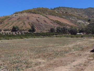 Imagen 14