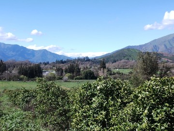 Venta / Parcela / Hijuelas