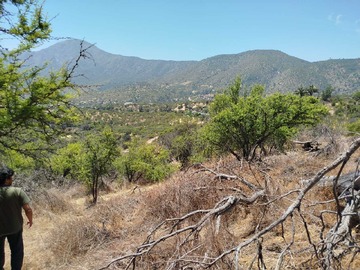 Imagen 9