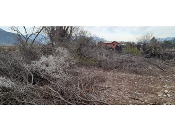 Imagen 9
