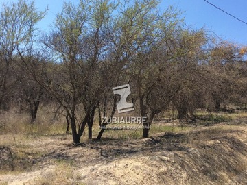 Imagen 7