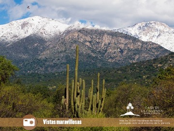 Imagen 8