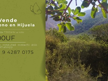 Venta / Parcela / Hijuelas