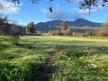 Venta / Parcela / Hijuelas