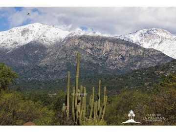 Venta / Parcela / Hijuelas