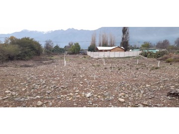 Imagen 8