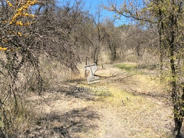 Imagen 8