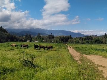 Venta / Parcela / Hijuelas