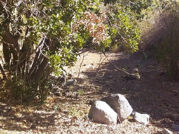 Imagen 9
