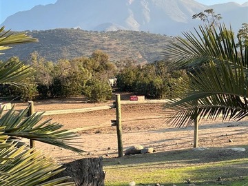 Imagen 6