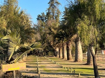 Venta / Parcela / Hijuelas