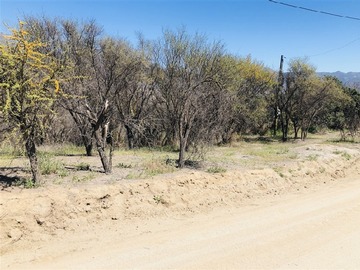 Imagen 8