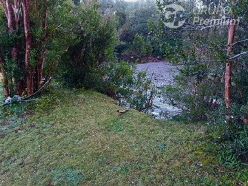 Imagen 13