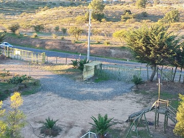 Imagen 11
