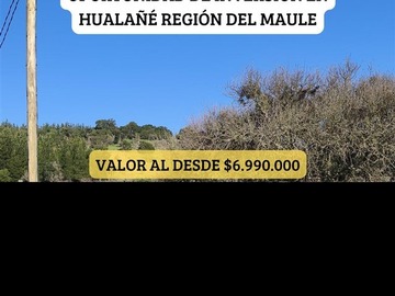 Imagen 20