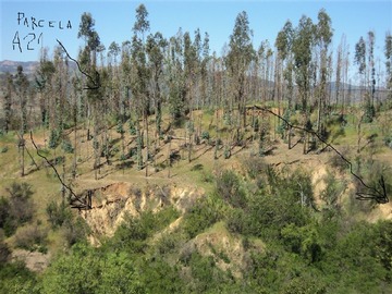 Imagen 33