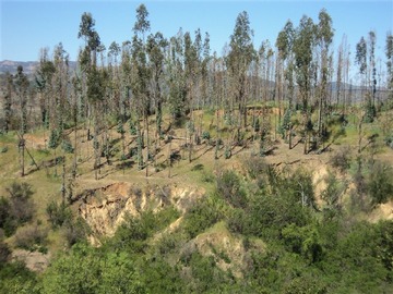 Imagen 32