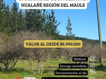 Imagen 14