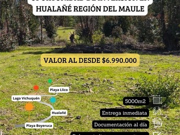 Venta / Parcela / Hualañé