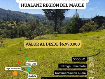 Imagen 5