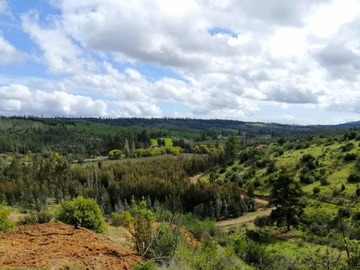 Venta / Parcela / Hualañé