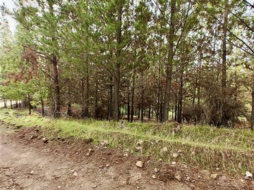 Imagen 9