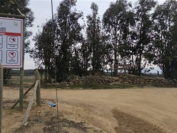 Imagen 7