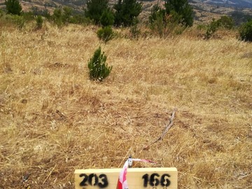 Imagen 12