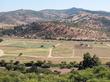 Venta / Parcela / Hualañé