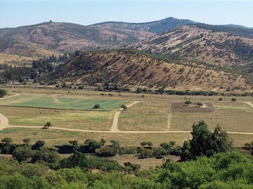 Venta / Parcela / Hualañé