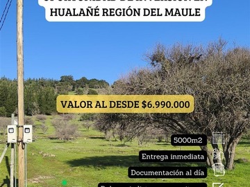 Imagen 6