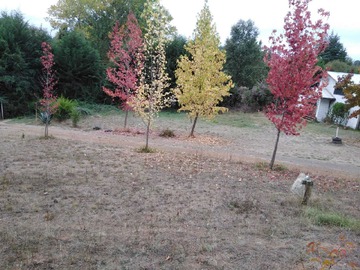 Imagen 18