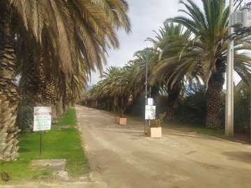 Venta / Parcela / Isla de Maipo